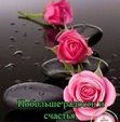 Флорика Цанер