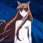 holo_bases